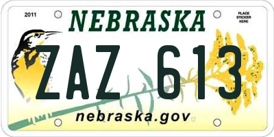 NE license plate ZAZ613