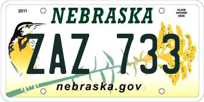 NE license plate ZAZ733