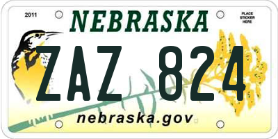 NE license plate ZAZ824