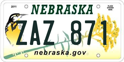 NE license plate ZAZ871
