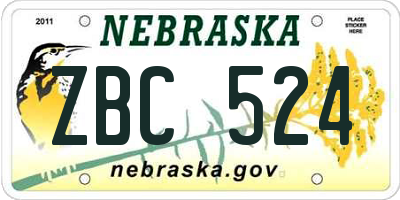 NE license plate ZBC524
