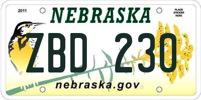 NE license plate ZBD230