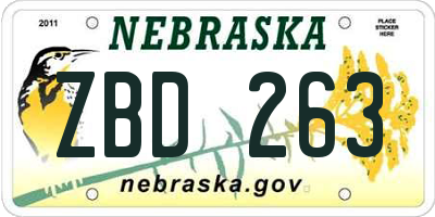 NE license plate ZBD263