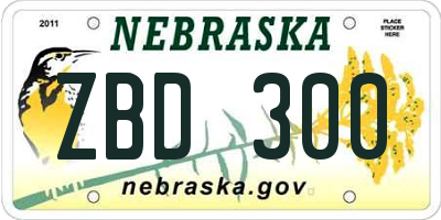 NE license plate ZBD300