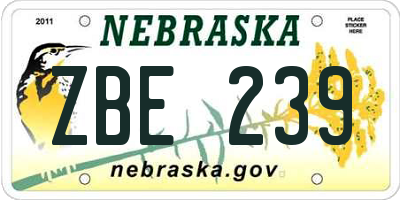 NE license plate ZBE239