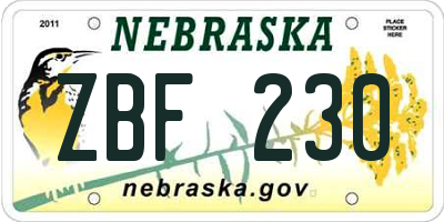 NE license plate ZBF230