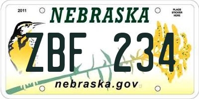 NE license plate ZBF234