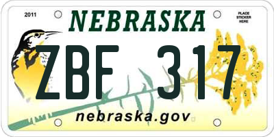 NE license plate ZBF317