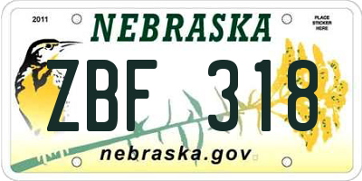 NE license plate ZBF318