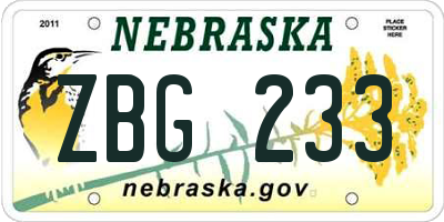 NE license plate ZBG233