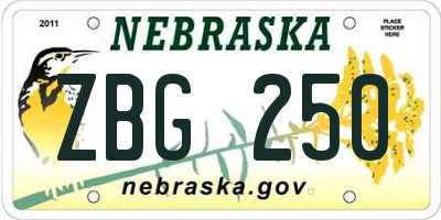 NE license plate ZBG250
