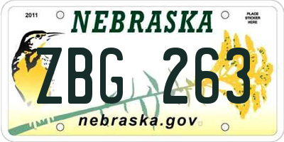 NE license plate ZBG263