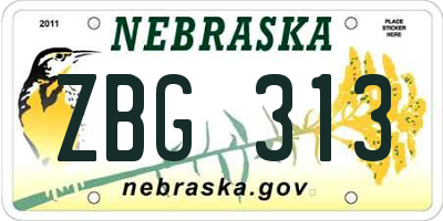 NE license plate ZBG313