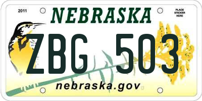 NE license plate ZBG503