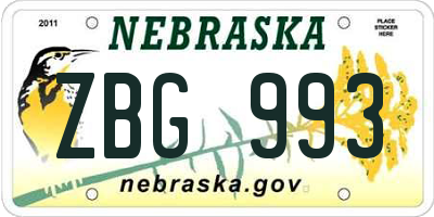NE license plate ZBG993