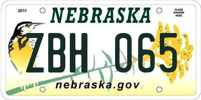 NE license plate ZBH065