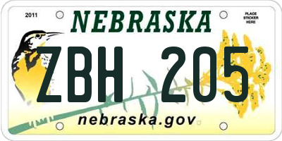 NE license plate ZBH205