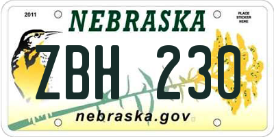 NE license plate ZBH230