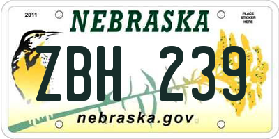 NE license plate ZBH239