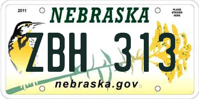 NE license plate ZBH313