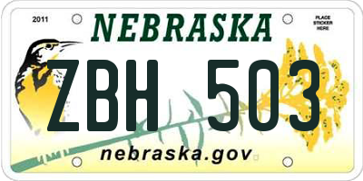 NE license plate ZBH503
