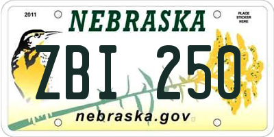 NE license plate ZBI250