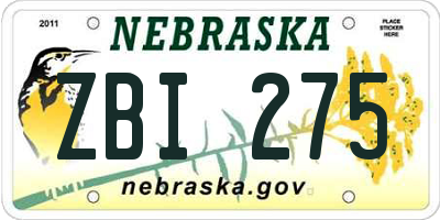 NE license plate ZBI275