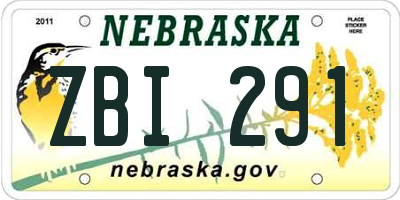 NE license plate ZBI291