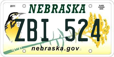 NE license plate ZBI524