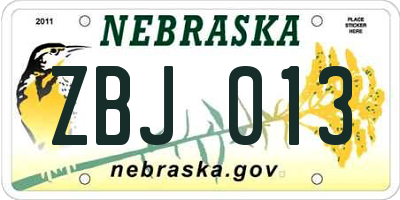 NE license plate ZBJ013
