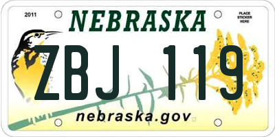 NE license plate ZBJ119
