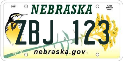 NE license plate ZBJ123