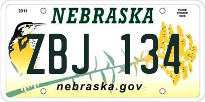 NE license plate ZBJ134
