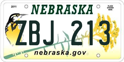 NE license plate ZBJ213