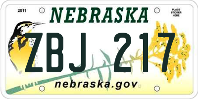 NE license plate ZBJ217