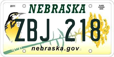NE license plate ZBJ218