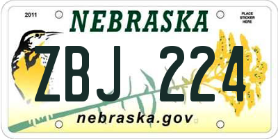 NE license plate ZBJ224