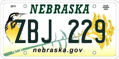 NE license plate ZBJ229