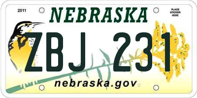 NE license plate ZBJ231