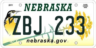 NE license plate ZBJ233