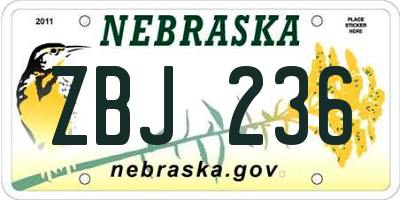 NE license plate ZBJ236
