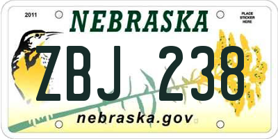 NE license plate ZBJ238