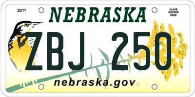 NE license plate ZBJ250