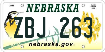 NE license plate ZBJ263