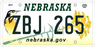 NE license plate ZBJ265