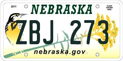 NE license plate ZBJ273