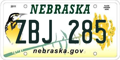 NE license plate ZBJ285