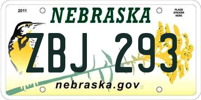 NE license plate ZBJ293