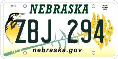 NE license plate ZBJ294