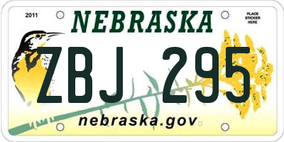 NE license plate ZBJ295